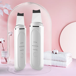 Ultrasonic facial scrubber