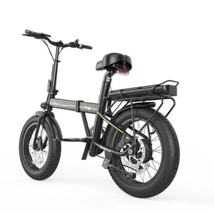 FreeGo Folding e-Bike Model E4 Pro