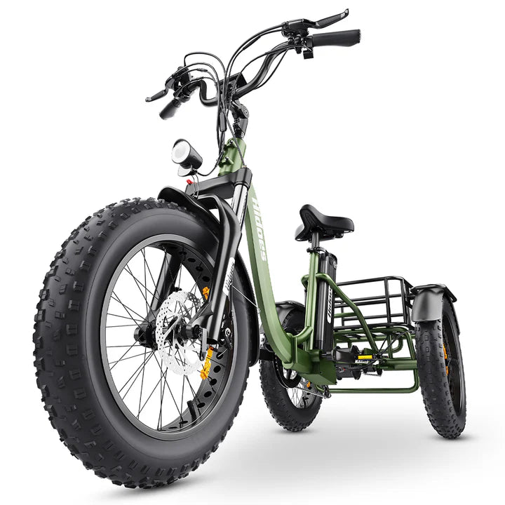 Hidoes ET1 750W Tricycle