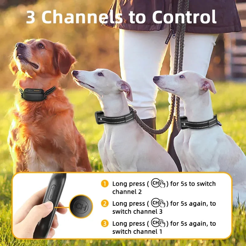 Electric Dog Training Collar Digital Rechargeable Remote