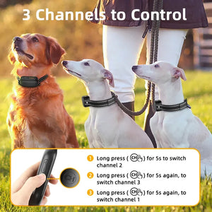 Electric Dog Training Collar Digital Rechargeable Remote