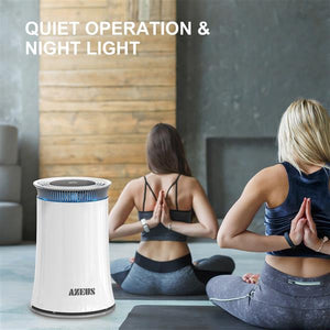 High CADR Air Purifier - 4msproducts