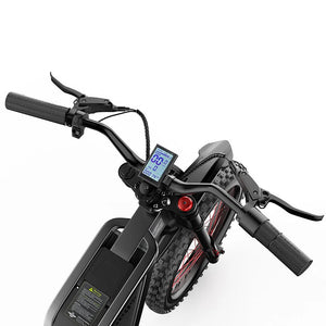 Freego X2 Pro All-Terrain Off-Road Motorcycle - Top-Rated & User-Friendly